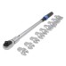 НАБОР ПРОФЕССИОНАНАБОР -дин. ключ с головками,  40-220Nm, 1/2 дюйма,13-30мм  ASTA, S-12IC220