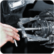 Universalie nocelaji